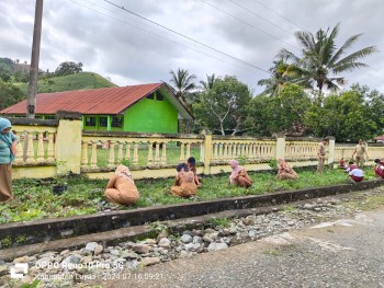 PENANAMAN BIBIT LOMBOK