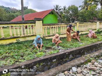 PENANAMAN BIBIT LOMBOK